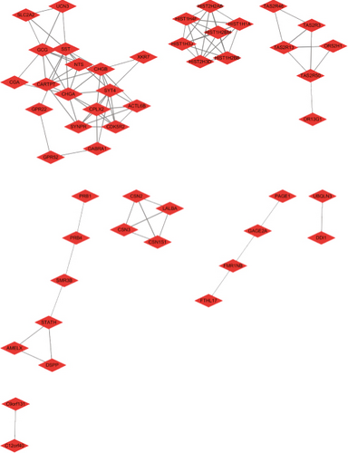 Details are in the caption following the image Details are in the caption following the image