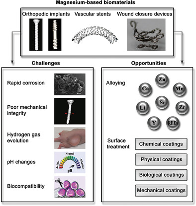 Biodegradable magnesium-based biomaterials: An overview of challenges and opportunities