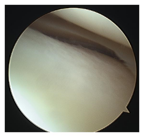 Details are in the caption following the image Details are in the caption following the image