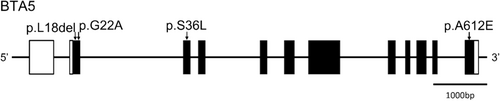 Details are in the caption following the image