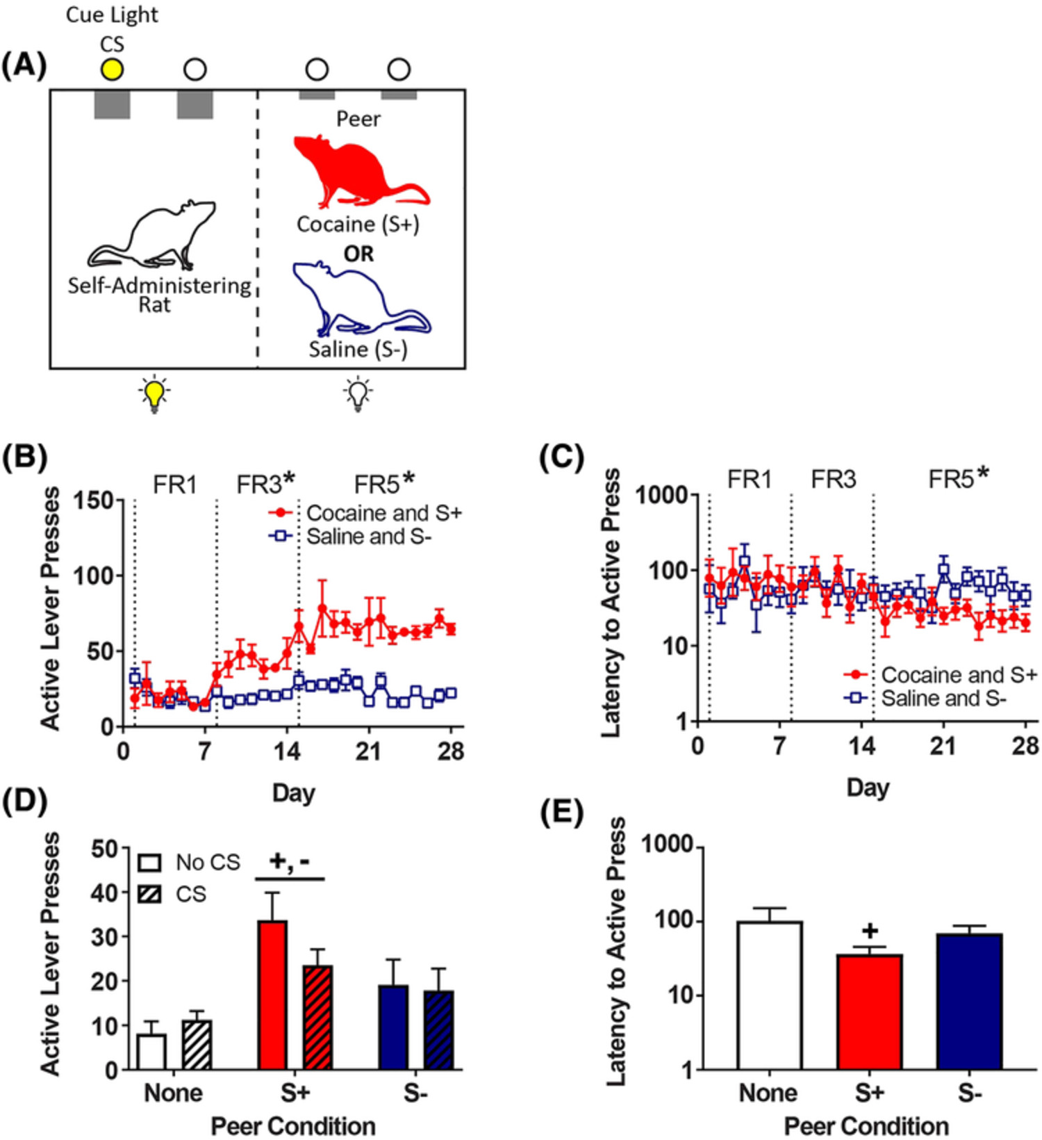 Peer-induced cocaine seeking in rats: Comparison to nonsocial stimuli and role of paraventricular hypothalamic oxytocin neurons