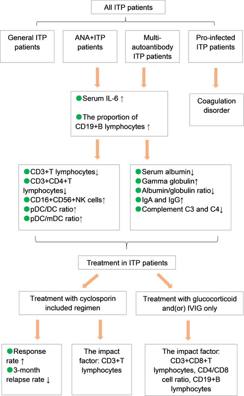 Immunological characteristics and effect of cyclosporin in patients with immune thrombocytopenia