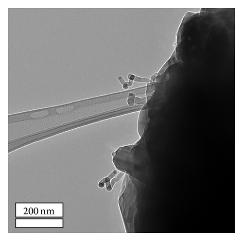 Details are in the caption following the image