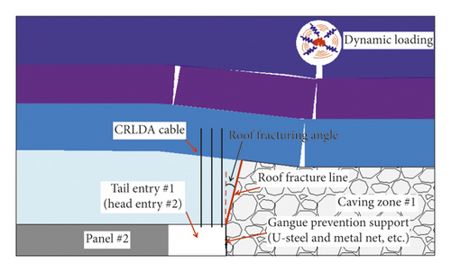 Details are in the caption following the image Details are in the caption following the image