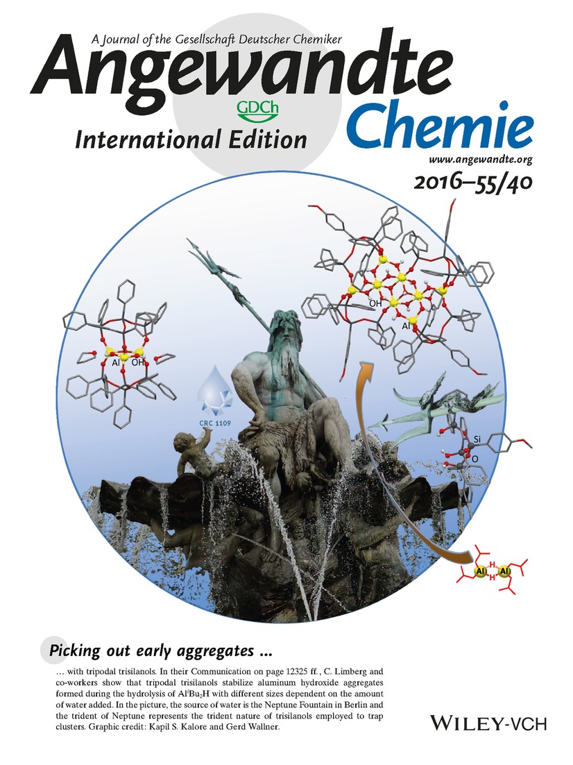 Inside Cover: Trapping Aluminum Hydroxide Clusters with Trisilanols during Speciation in Aluminum(III)–Water Systems: Reproducible, Large Scale Access to Molecular Aluminate Models (Angew. Chem. Int. Ed. 40/2016) Volume 55 Issue 40, 2016