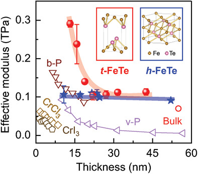 Phase-Modulated Elastic Properties of 2D Magnetic FeTe: Hexagonal and Tetragonal Polymorphs