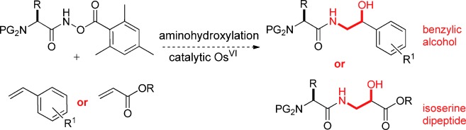 Amino Acid-Based Reoxidants for Aminohydroxylation: Application to the Construction of Amino Acid–Amino Alcohol Conjugates