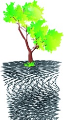 Chiral Nematic Mesoporous Carbon Derived From Nanocrystalline Cellulose