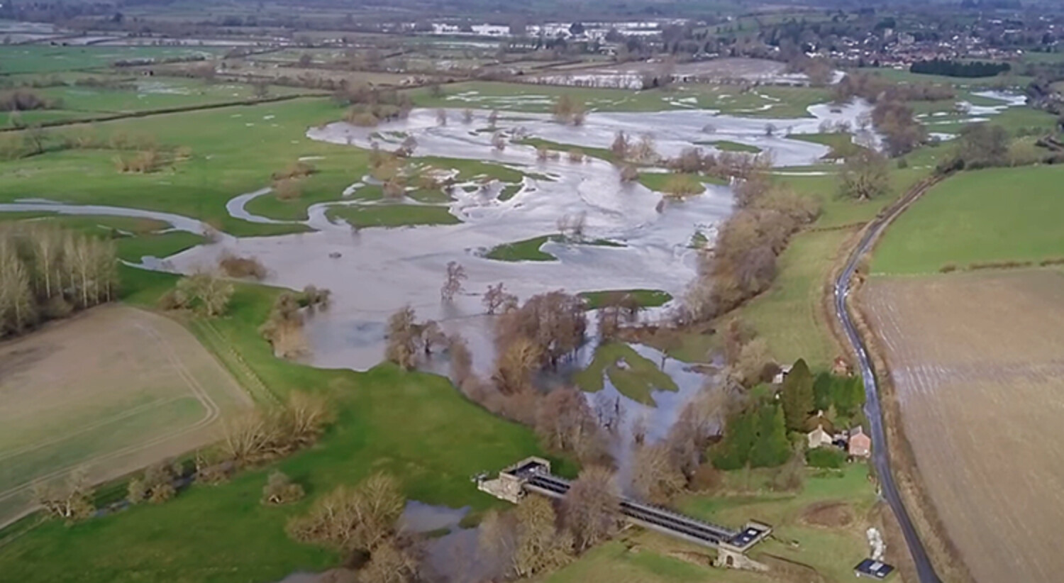 The heterogeneous geomorphological impact of an exceptional flood event and the role of floodplain vegetation