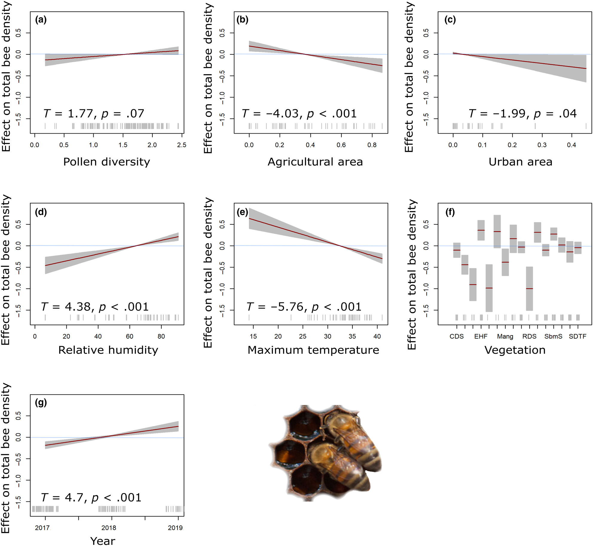 Effects of floral resources on honey bee populations in Mexico: Using dietary metabarcoding to examine landscape quality in agroecosystems