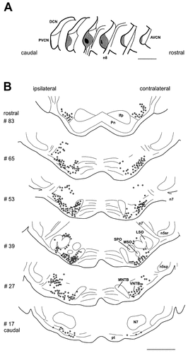 Details are in the caption following the image