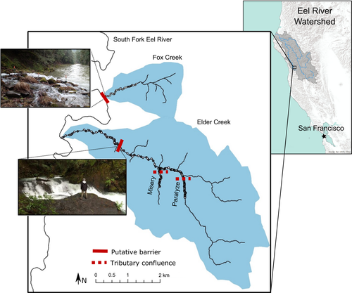 Details are in the caption following the image Details are in the caption following the image