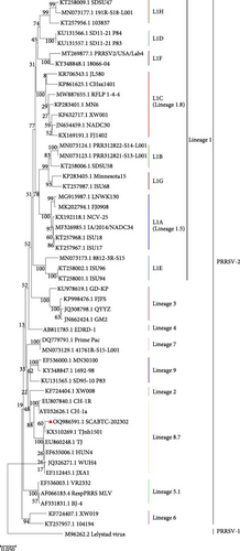 Details are in the caption following the image Details are in the caption following the image