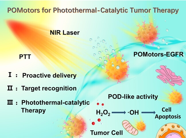 Polyoxometalate-Nanozyme-Integrated Nanomotors (POMotors) for Self-Propulsion-Promoted Synergistic Photothermal-Catalytic Tumor Therapy