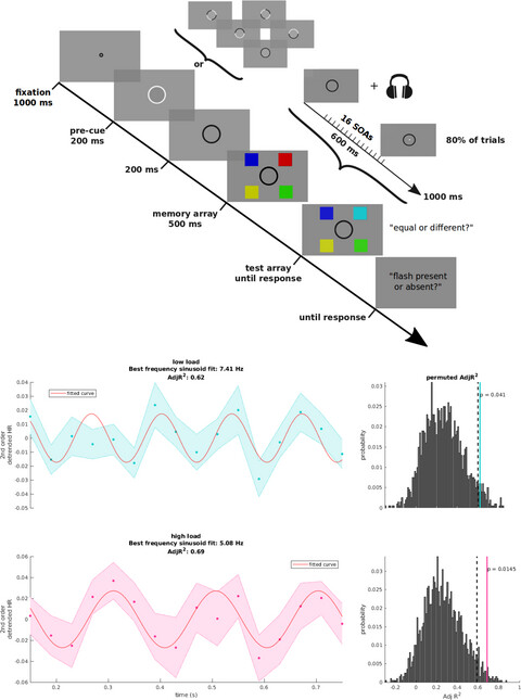 Shared resources between visual attention and visual working memory are allocated through rhythmic sampling