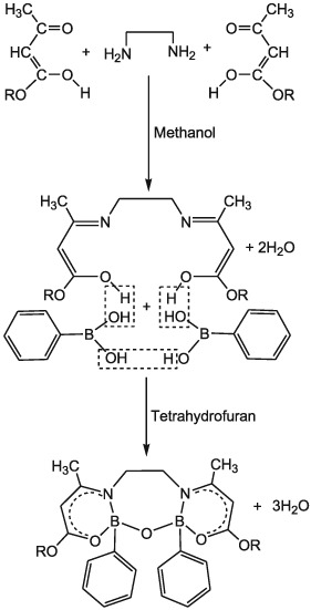 Some Novel Dinuclear phenylboronates of biologically potent β-enaminoesters: Synthesis, Spectroscopic characterization, antimicrobial activity and their antiandrogenic effect