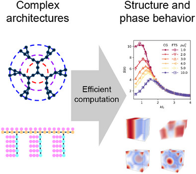 Efficient Computation of Single-Chain Partition Functions in Field-Theoretic Simulations of Polymers With Nested Tree-Like Topologies