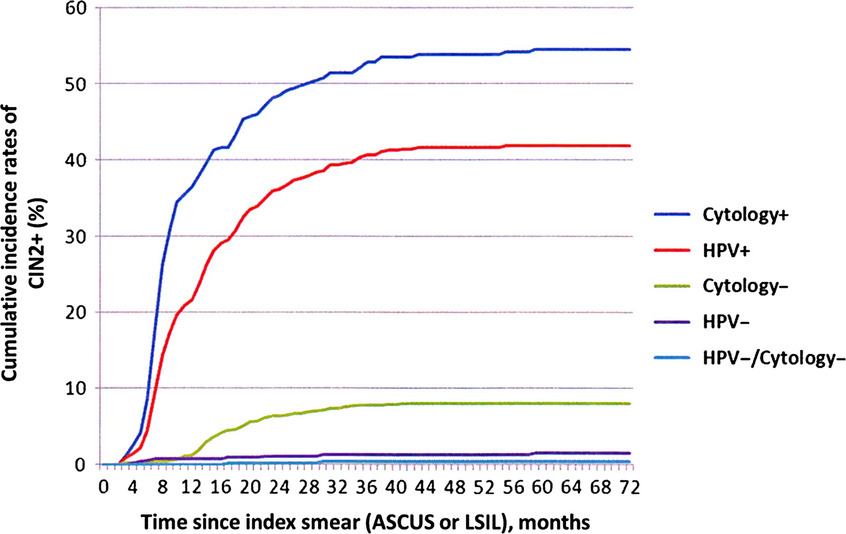 HPV DNA testing improves CIN2+ risk stratification and detection of CIN2+ in delayed triage of ASCUS and LSIL. A population-based follow-up study from Western Norway