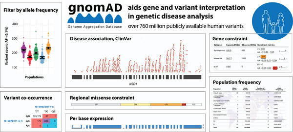 Variant interpretation using population databases: Lessons from gnomAD Issue 8, 2022
