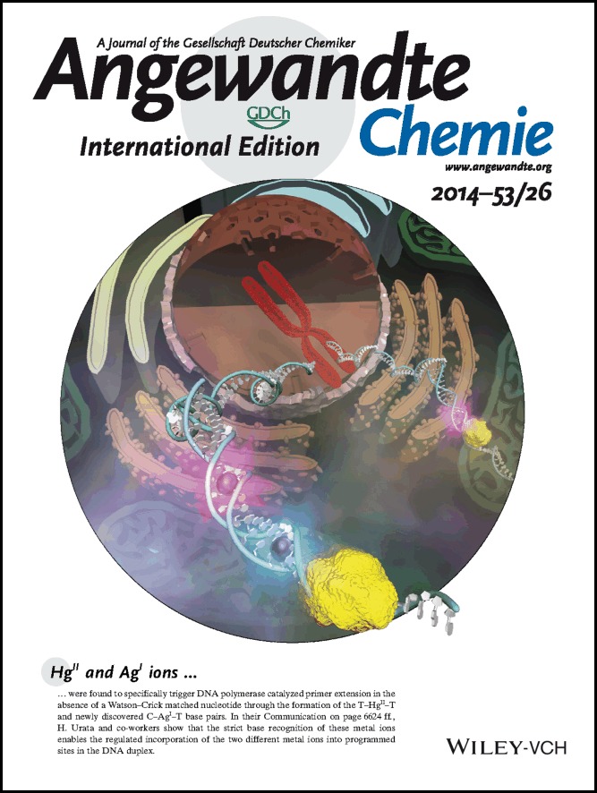 Back Cover: Regulated Incorporation of Two Different Metal Ions into Programmed Sites in a Duplex by DNA Polymerase Catalyzed Primer Extension (Angew. Chem. Int. Ed. 26/2014)