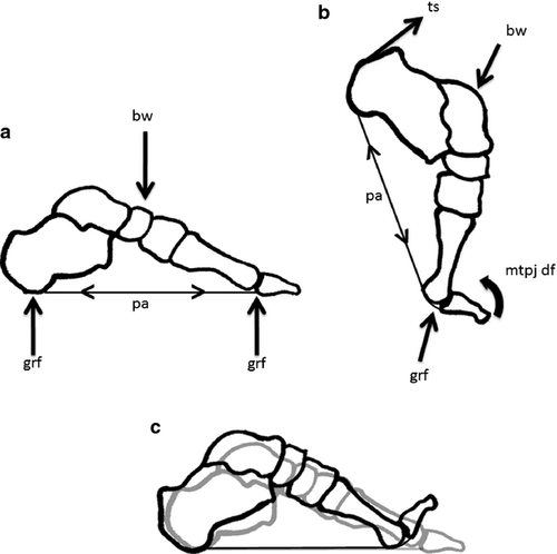 Details are in the caption following the image