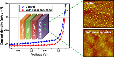 Improving the Performance of Perovskite Solar Cells Through Solvent Vapor Annealing-based Morphology Control of the Hole-Transport Layer