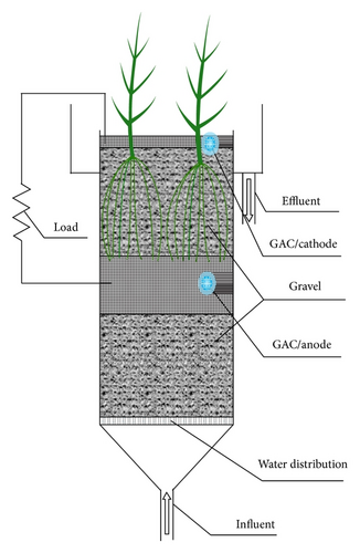 Details are in the caption following the image