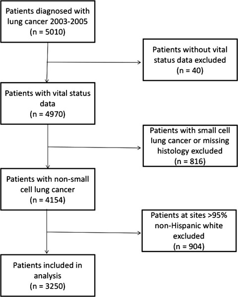 Factors contributing to disparities in mortality among patients with non–small-cell lung cancer