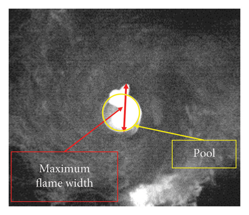 Details are in the caption following the image Details are in the caption following the image