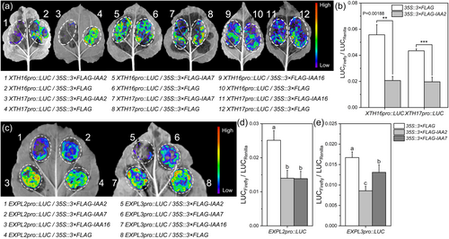 Details are in the caption following the image Details are in the caption following the image