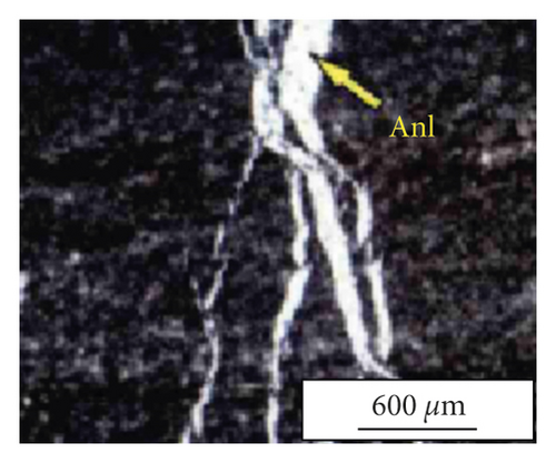Details are in the caption following the image