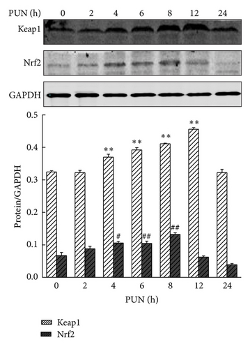 Details are in the caption following the image