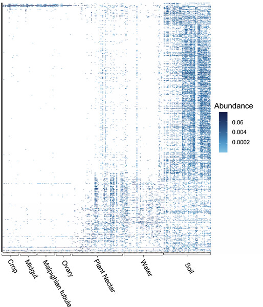 Aedes albopictus microbiome derives from environmental sources and partitions across distinct host tissues