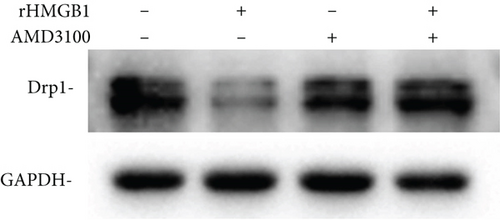 Details are in the caption following the image