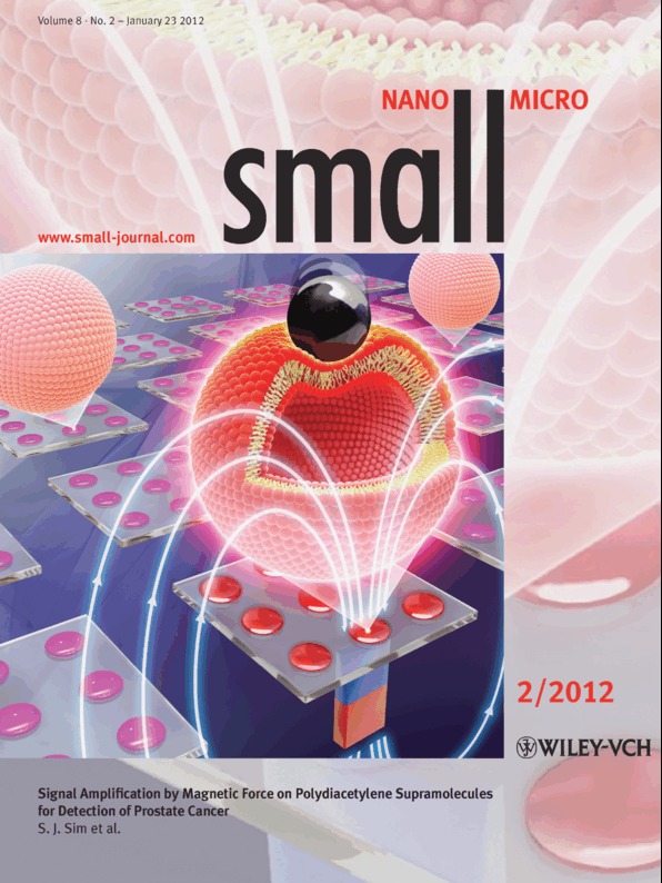 Magnetically Enhanced Fluorescence: Signal Amplification by Magnetic Force on Polydiacetylene Supramolecules for Detection of Prostate Cancer (Small 2/2012)
