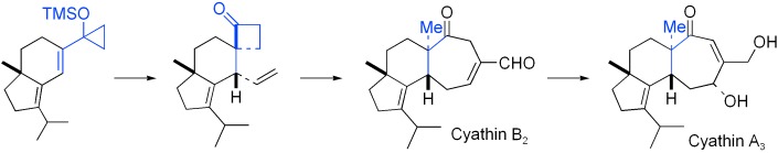 Total Synthesis of Cyathin A3 and Cyathin B2