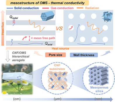 Elucidating Mesostructural Effects on Thermal Conductivity for Enhanced Insulation Applications