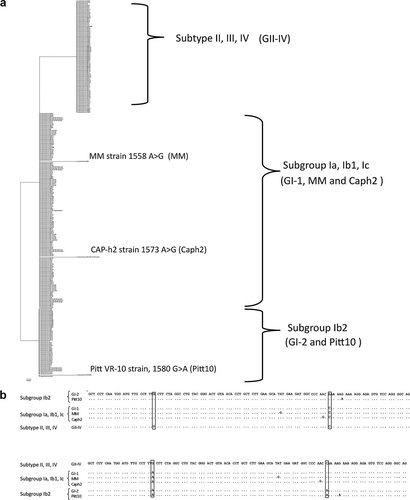 Details are in the caption following the image Details are in the caption following the image