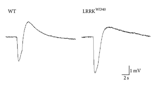 Details are in the caption following the image