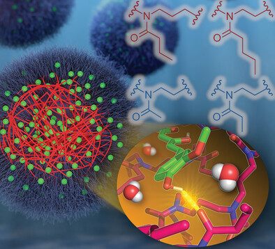 Unravel the Tangle: Atomistic Insight into Ultrahigh Curcumin-Loaded Polymer Micelles