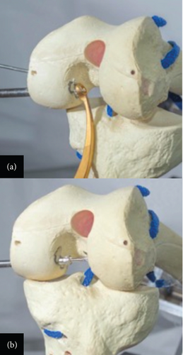 Details are in the caption following the image Details are in the caption following the image