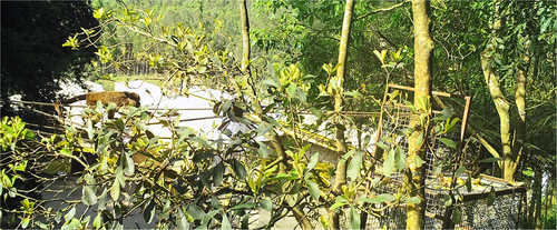 Details are in the caption following the image Details are in the caption following the image