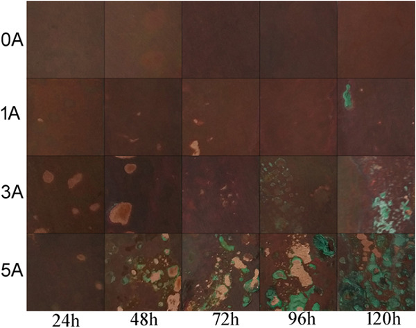 Influence of electric current on the corrosion behavior of Cu for the electric contact in the isolation switch
