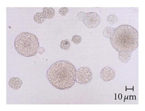Details are in the caption following the image