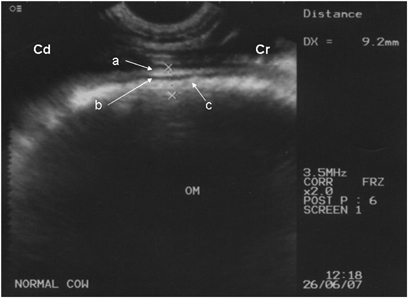 Details are in the caption following the image Details are in the caption following the image