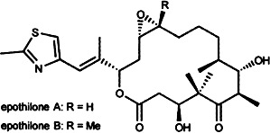 Epothilones: Promising Natural Products with Taxol-Like Activity