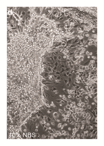 Details are in the caption following the image