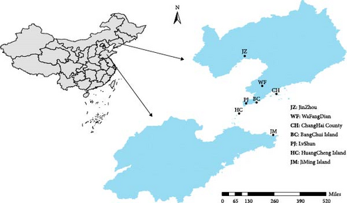 Details are in the caption following the image
