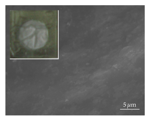 Details are in the caption following the image