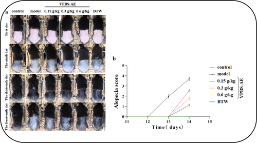 Details are in the caption following the image Details are in the caption following the image